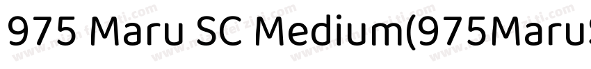 975 Maru SC Medium(975MaruSC Medium字体转换